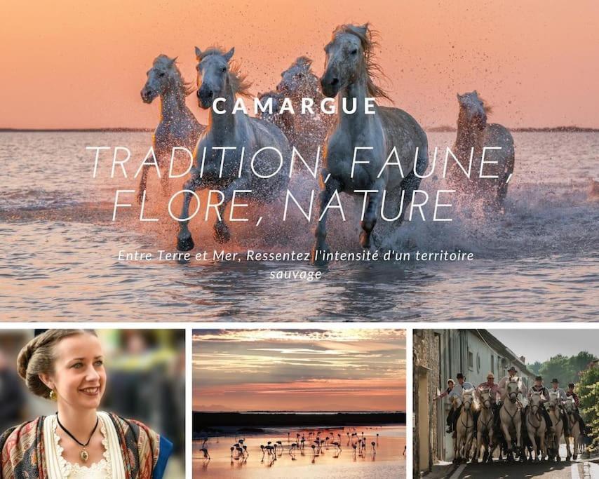 Les Marines De Haute Plage*Lumineux*Parking La Grande-Motte Zewnętrze zdjęcie